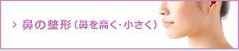 {鼻はお顔全体の印象を決める重要なパーツのひとつであり、高さを少し足したり、形を整えることで大きく印象が変わります。ヒアルロン酸注入によるプチ整形から、プロテーゼによる隆鼻術、お鼻の形を整える施術まで様々なメニュー}